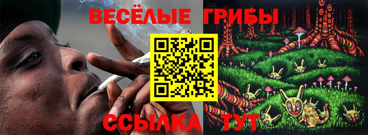 Галлюциногенные грибы Psilocybine cubensis Старый Оскол