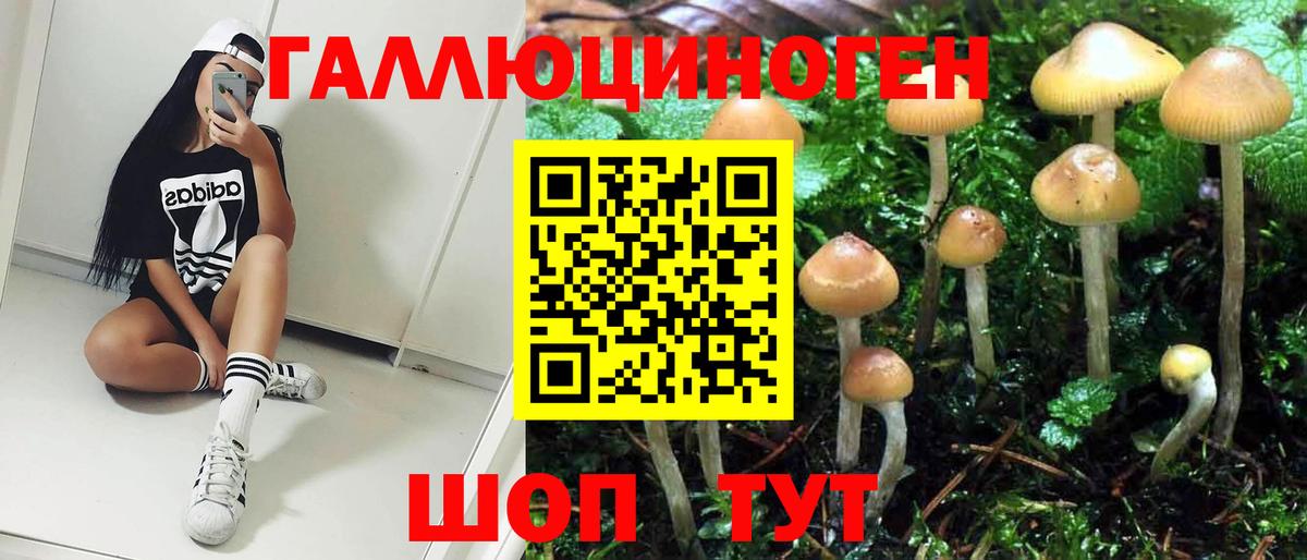 Псилоцибиновые грибы MAGIC MUSHROOMS  Галлюциногенные грибы прущие грибы  Старый Оскол  Вход с VPN 